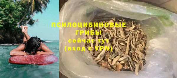 mix Богородицк